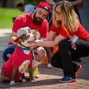 Team Page: Don't eat that